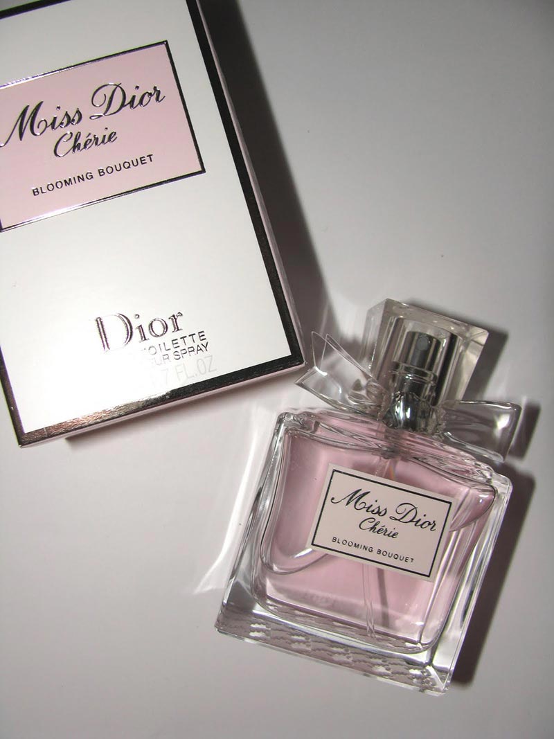 dior 化妝品包裝設計欣賞06